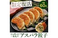 北海道産！旬のアスパラガスを丸ごと1本使用！1粒60gの『アスパラ超大粒餃子』春限定販売
