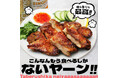 こんなんもう食べるしかないヤーン‼『タイ風グリルチキン ガイヤーン』大阪王将公式通販で新発売