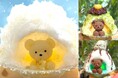 “かまくら”に入ったくまちゃんのかき氷に抹茶あずき、チョコミントが新登場!