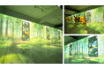 デジタルアート制作会社【C&】新作没入型コンテンツ「Immersive photo spot」を制作