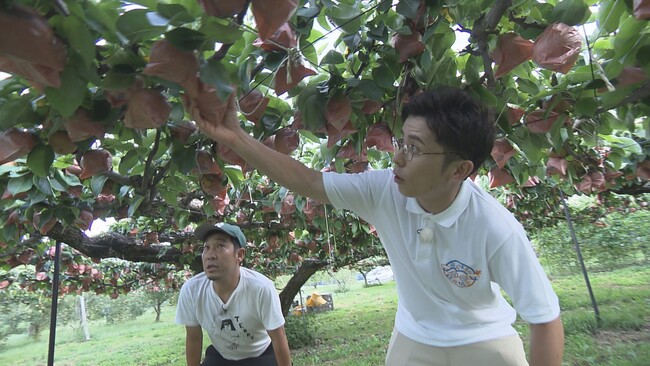 「全然まじめな農家さんじゃない！」と大つっこみでしたが…