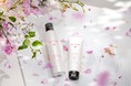 【春季限定】紫外線や花粉など春特有のダメージから髪を守る　春の訪れを感じさせる「ブルームブーケの香り」が今年も登場！