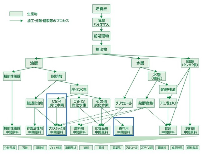 図：藻類ビジネスのフロー　　　※青枠で囲った部分が当社関連