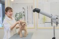 兵庫県芦屋市に新たなペット美容サービス「アイズドッグ芦屋店」を2026年11月オープン予定