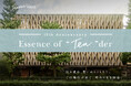 白金台・THE Tender HOUSE 開業10周年 10のトピックス「Essence of “Ten”der」