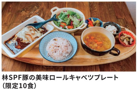 予約必須の限定ロールキャベツ 予約必須の限定ロールキャベツ