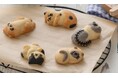 猫好きのプランナー&デザイナーが本気で作った 「にゃんこの寝姿クッキー」 愛らしい五匹のネコにくぎ付け!