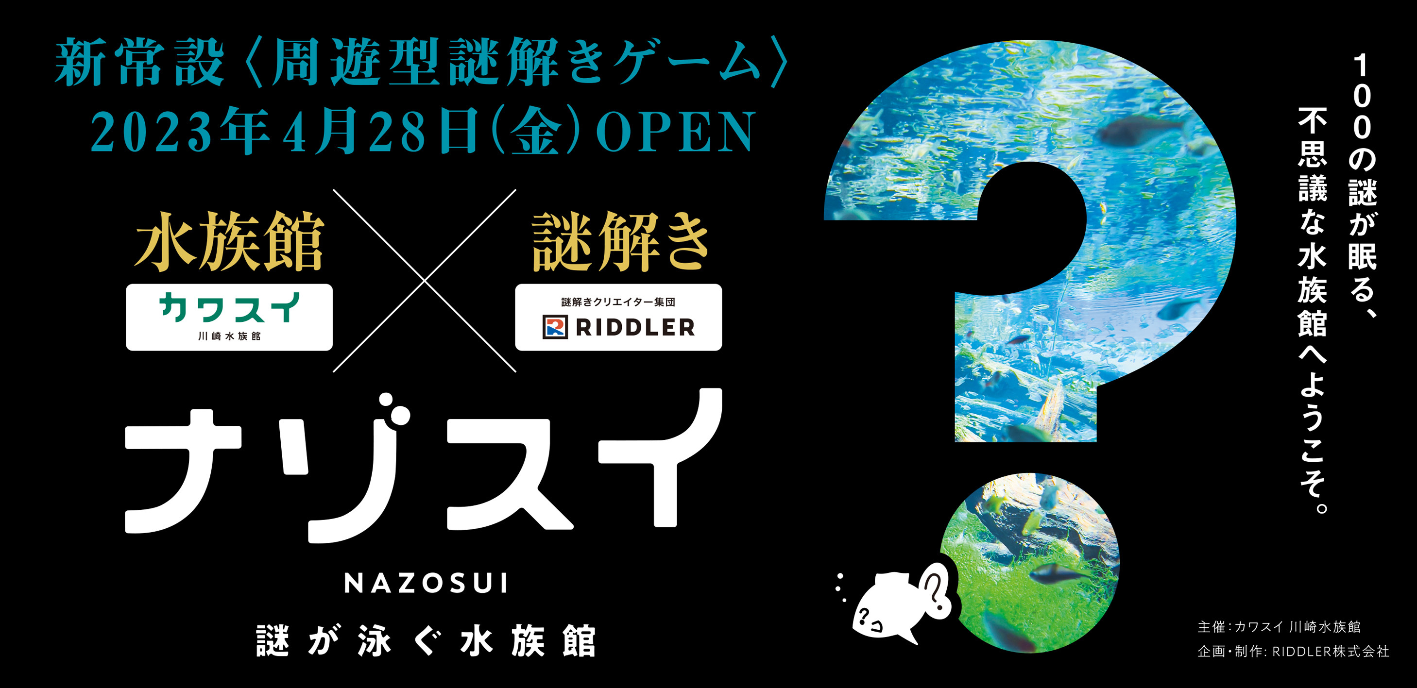 100の謎が眠る不思議な水族館【カワスイ×RIDDLER】新常設〈周遊型謎