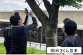 【埼玉県】クビアカツヤカミキリ被害防止キャンペーン！について