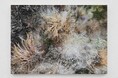 【埼玉県】企画展「Nerhol(ネルホル)」及び関連イベントを開催します!
