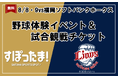 【埼玉県】-すぽったま！特別企画- 埼玉県×埼玉西武ライオンズ 野球体験イベント参加者を募集します！