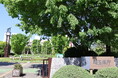 【埼玉県】夏のスタートは県営公園で！7月の県営公園で遊ぼう