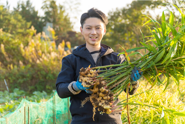 生姜の自社栽培にも挑戦 生姜の自社栽培にも挑戦