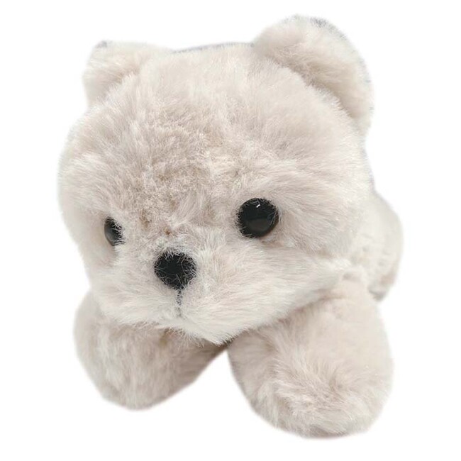 こまちゃん(アイボリー)