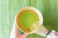 お茶と宇治のまち歴史公園 茶づな 開館3周年記念キャンペーン!