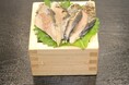 秋本番・季節限定企画「サンマ始めました!」第一弾として「炙りサンマのタタキ」ー海鮮れすとらん 魚のます