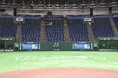 東京ドーム バックネットに企業広告を掲出サンセイランディックが創立50周年を記念した広告展開を実施