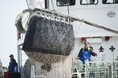 北海道マイワシ 大中型まき網漁業、MSC漁業認証 本審査入り - 持続可能な養殖業と飼料原材料の確保そして日本の競争力強化に向けて -