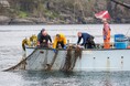 漁業由来の海洋プラスチック削減に向けて UMITO Partners、国際イニシアティブ「GGGI」に加盟