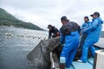 山口県室津で新たな「サステナブル漁業プロジェクト」発足 「定置網自主的資源管理×藻場保全」で未来を拓け