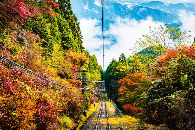 紅葉シーズン御岳山山頂
