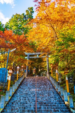 紅葉シーズン御岳山山頂