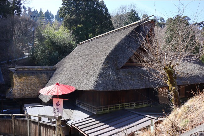山地域活性化プロジェクト