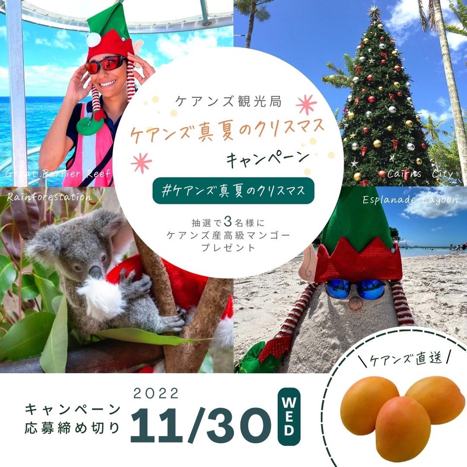 ケアンズ 真夏のクリスマス キャンペーンを開催 ケアンズ観光局のプレスリリース