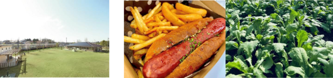 ソライエひろば（左）・出店予定のご当地グルメ、産直野菜（右）