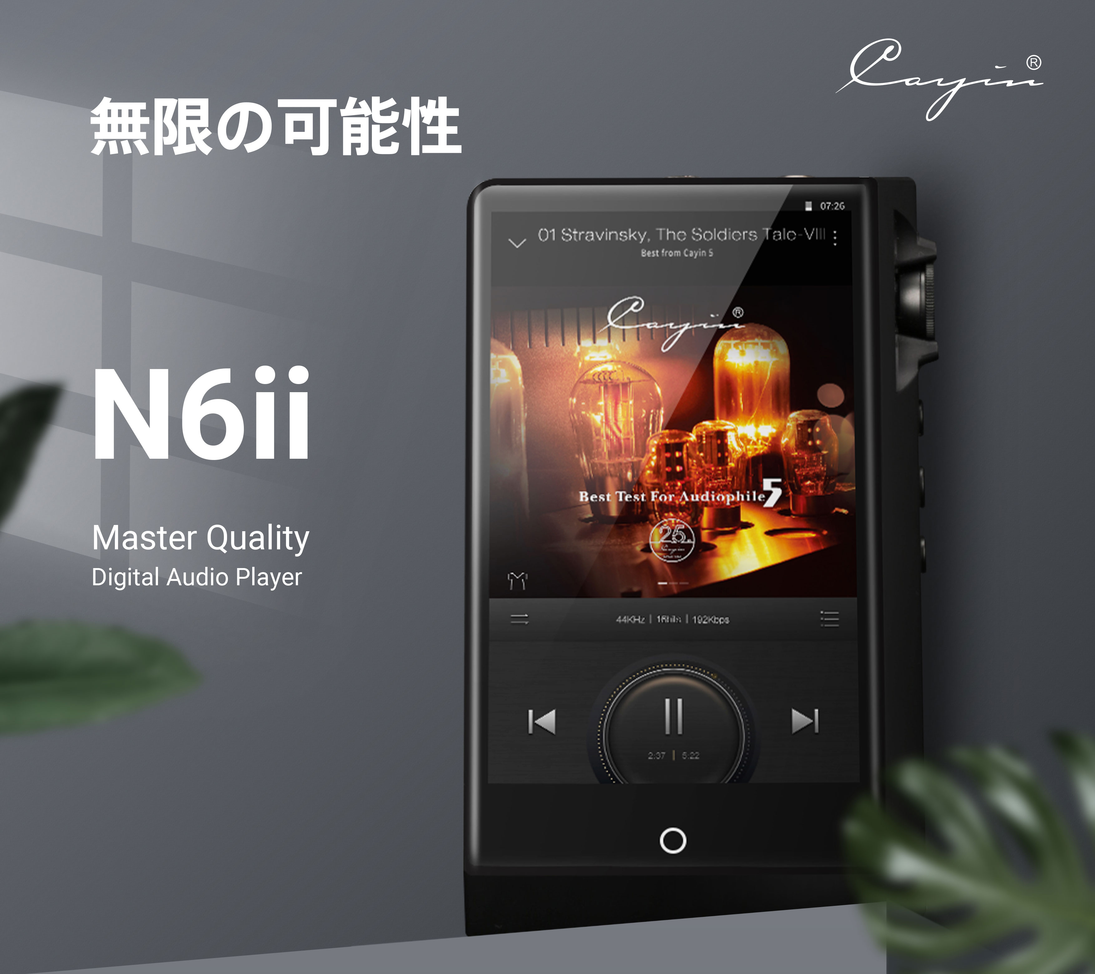 Cayin N6ii/A01・オーディオマザーボード交換式デジタルオーディオ 