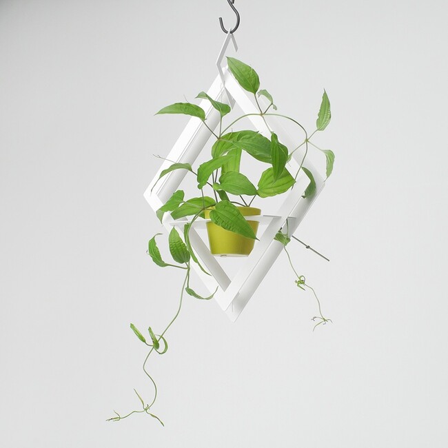 Vase(Rhombus)〈フラワーベース〉