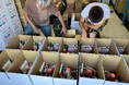 給食のない夏休み中の「食べる」を支える 南大阪エリア1,400世帯のひとり親世帯へ食材無償配送「ひとり親で、周りに頼れる人もいない中、とても助かりました」の声