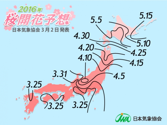 16年桜開花予想 第3回 満開予想発表 3月上旬は桜のつぼみが膨らむ 日本気象協会のプレスリリース