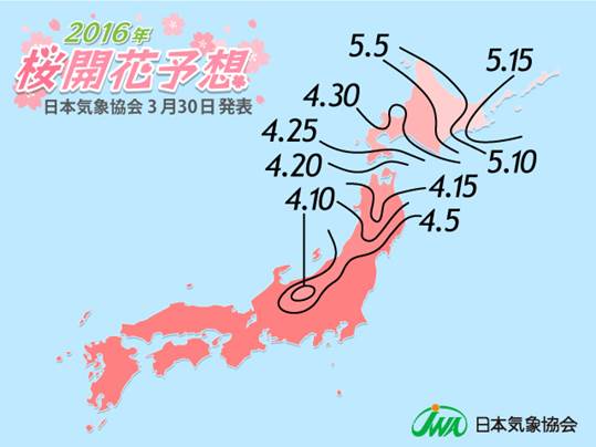 16年桜開花予想 第7回 福岡 宇和島で満開 まもなく 東北南部からも開花のたよりが届くでしょう 日本気象協会のプレスリリース