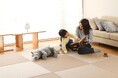 暮らしに、もっと自由に畳を。社会課題解決につながる新サービス開始!