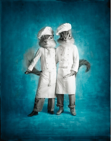 左：チェス　右：ナッツ