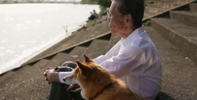 老人と愛犬の絆を丁寧に描き出した 夏の犬と老人 をyoutubeで一般公開 ペットライン株式会社のプレスリリース