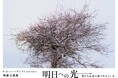 箱根湯本ホテルにて写真家・齊藤文護「明日への光」展を開催