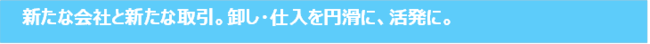 新た会社