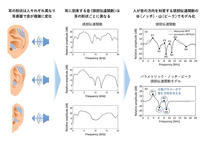 図3．耳の形によって異なる頭部伝達関数を少数のパラメータで表現可能なパラメトリック・ノッチ・ピーク 頭部伝達関数モデル