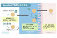 発酵科学が拓く次世代フェムケア素材「RenoSorb™」、日本市場向け優先展開を開始