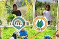 【9月30日まで】まんまる農園「お米と旬野菜の定期便」× LIFE「ひまわり募金」