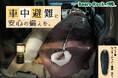 もし今夜、車で一晩過ごすことになったら。Bears Rockが寝袋で考える災害時の「眠る備え」