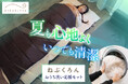 夏も心地よく、いつでも清潔。Bears Rockのねぶくろんに『おうち洗い応援セット』が新登場