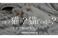 猫の手触りと毛色を再現したオリジナル寝具『猫フィール』が、本物の猫と見分けがつかないかどうかを調査!全問正解率0.4%のまるで猫な『猫フィール』は、21日から”猫の日”特別キャンペーンを実施します。
