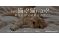 3000人以上が挑戦して、なんと全問正解者0人！”まるで猫”なニッセンオリジナル寝具『猫フィール』を毛布だと見破れるかを調査した結果、猫への擬態度は昨年よりも向上していると判明！
