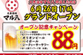 【姫路・松山の名店「大衆酒場 マル八」が沖縄初上陸!】オリオンビール・ハイボール・シークヮーサーサワーが何杯飲んでも1杯88円!【6月26日に新規開店】