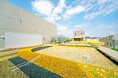 青葉台東急スクエア 屋上広場を2025年4月25日(金)にオープン