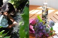 La CASTA、植物の力で心身を整える親子体験型<ハーブガーデンセラピープログラム>を開発