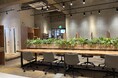 町田境川、古淵駅近くに新拠点が登場『GARAGE MACHIDA境川店』2025年8月1日(金)オープン。
居住地立地で町田にお住いの方の”第二の居場所”を目指す